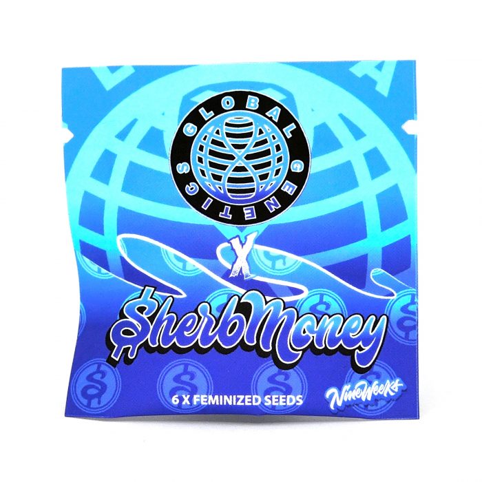 Global Genetics - F - Blue Runtz - Blue Sherb x Runtz 01 Blue Runtz - Global Genetics – Image 1