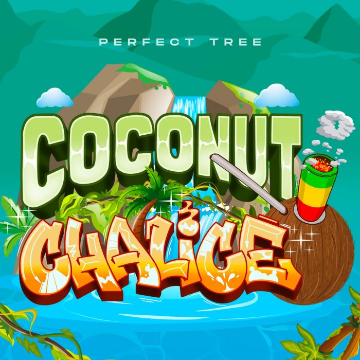 Coconut Chalice - Perfect Tree - Image 3