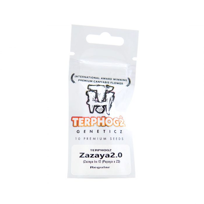 Terphogz 2024 - R - Zazaya 2.0 - Zazaya B x F2 x Papaya x Z3 01 Zazaya 2.0 - Terphogz 2024 – Image 1