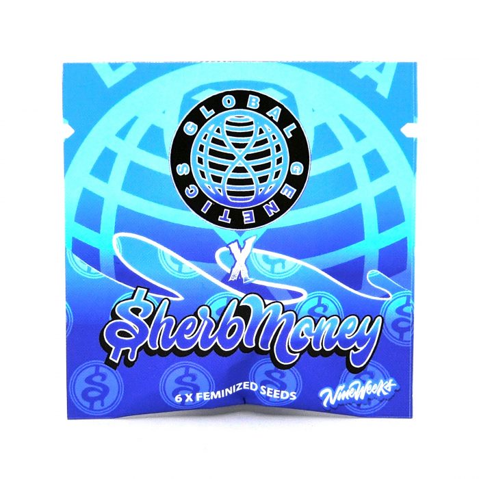 Terphogz x Global Genetics - F - Blueburry - Blue Sherb x Runtz 01 Blueburry - Global Genetics – Image 1