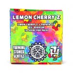 Lemon Cherry Z - Terphogz x Global Genetics