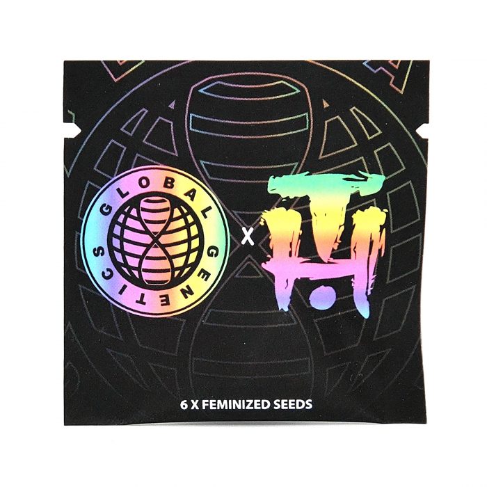 Global Genetics - F - Dirty Mangoz - Mango Z x Gross 01 Dirty Mangoz - Global Genetics – Image 1