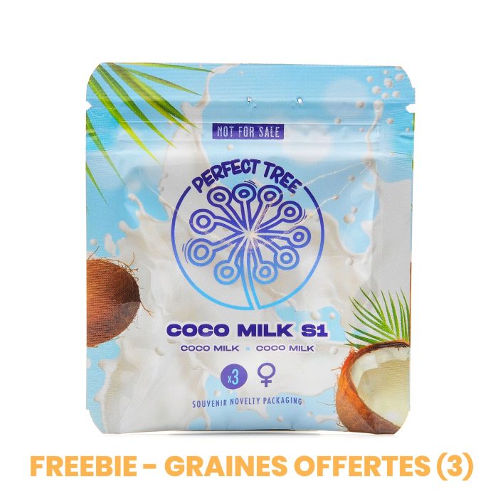 Coconut Fresh - Perfect Tree – Image 5