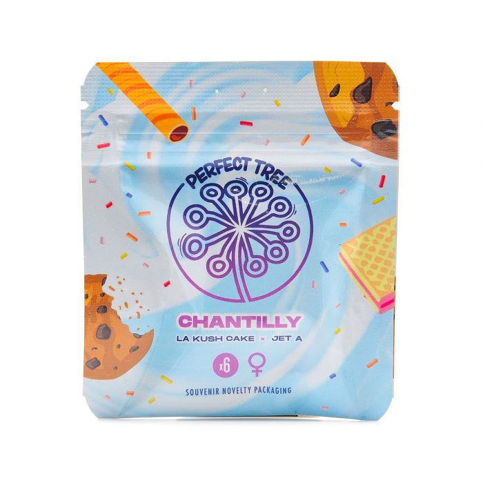 Chantilly - Perfect Tree – Image 2