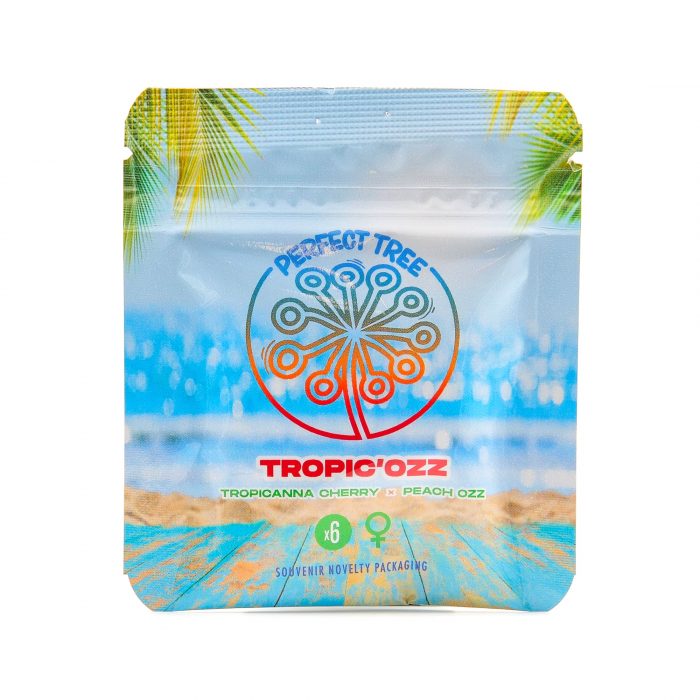 Tropic'Ozz - Perfect Tree - Obrázek 2