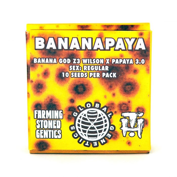 Bananapaya - Terphogz x Global Genetics - Image 1