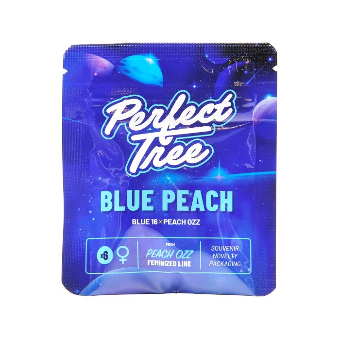 Blue Peach - Perfect Tree – Image 2