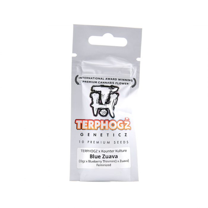 Terphogz x Kounter Kulture - F - Blue Zuava - (Ogz x Blueberry Thinmint) x Zuava - 01 Blue Zuava - Terphogz x Kounter Kulture – Image 1